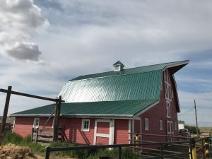 Barn with new metal roof replaced by P & BW Roofing